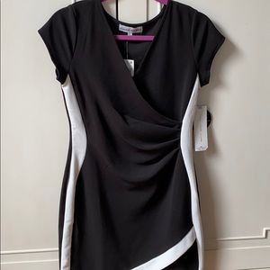 Work or Summer Bodycon Dress
